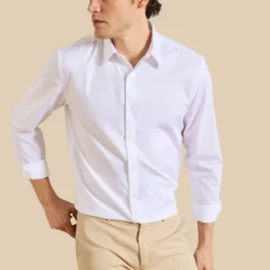 Bügelfreies und einfarbiges Regular Fit Herrenhemd aus Baumwoll-Twill