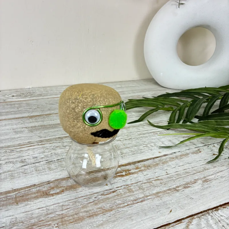 Graskopf Im Glas Grün 12cm Gesicht Pflanze Pflanz-Set Grasgesicht Deko