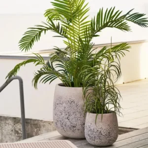 Deko Pflanze Kjellora - für den Garten