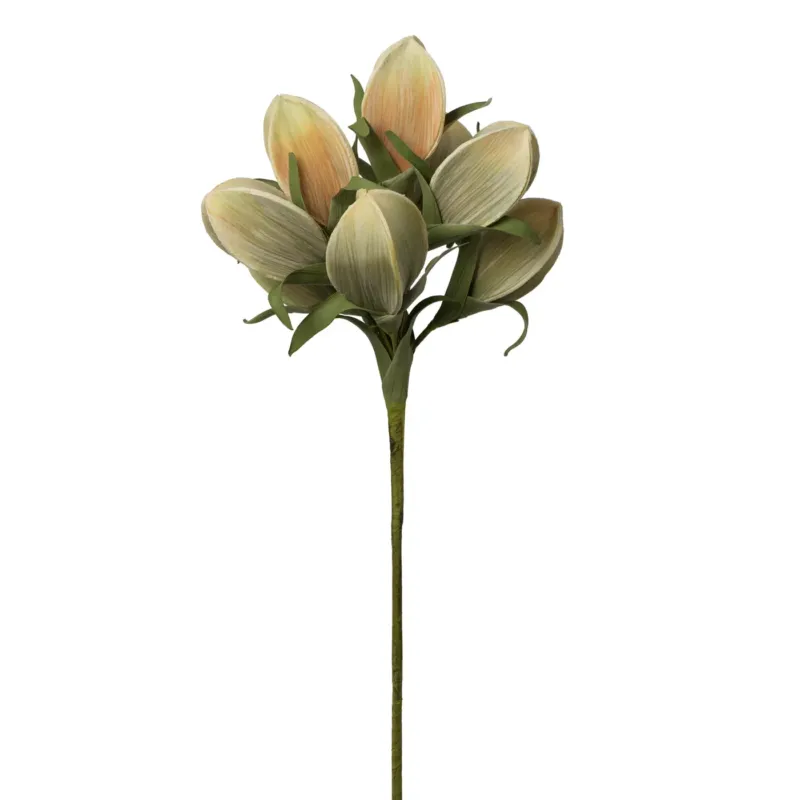 Desert Pinched Multi Pod Bouquet 31" Stem - Peach