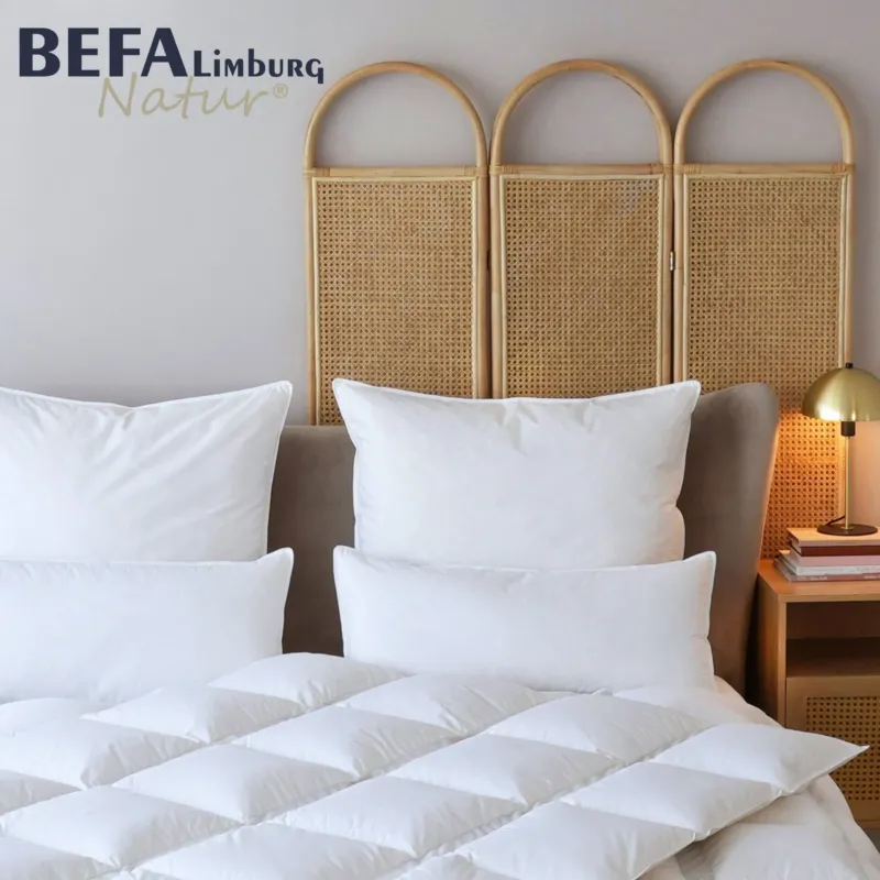 Federkissen - 100% Federn (2 Stück Set) | BEFA Limburg